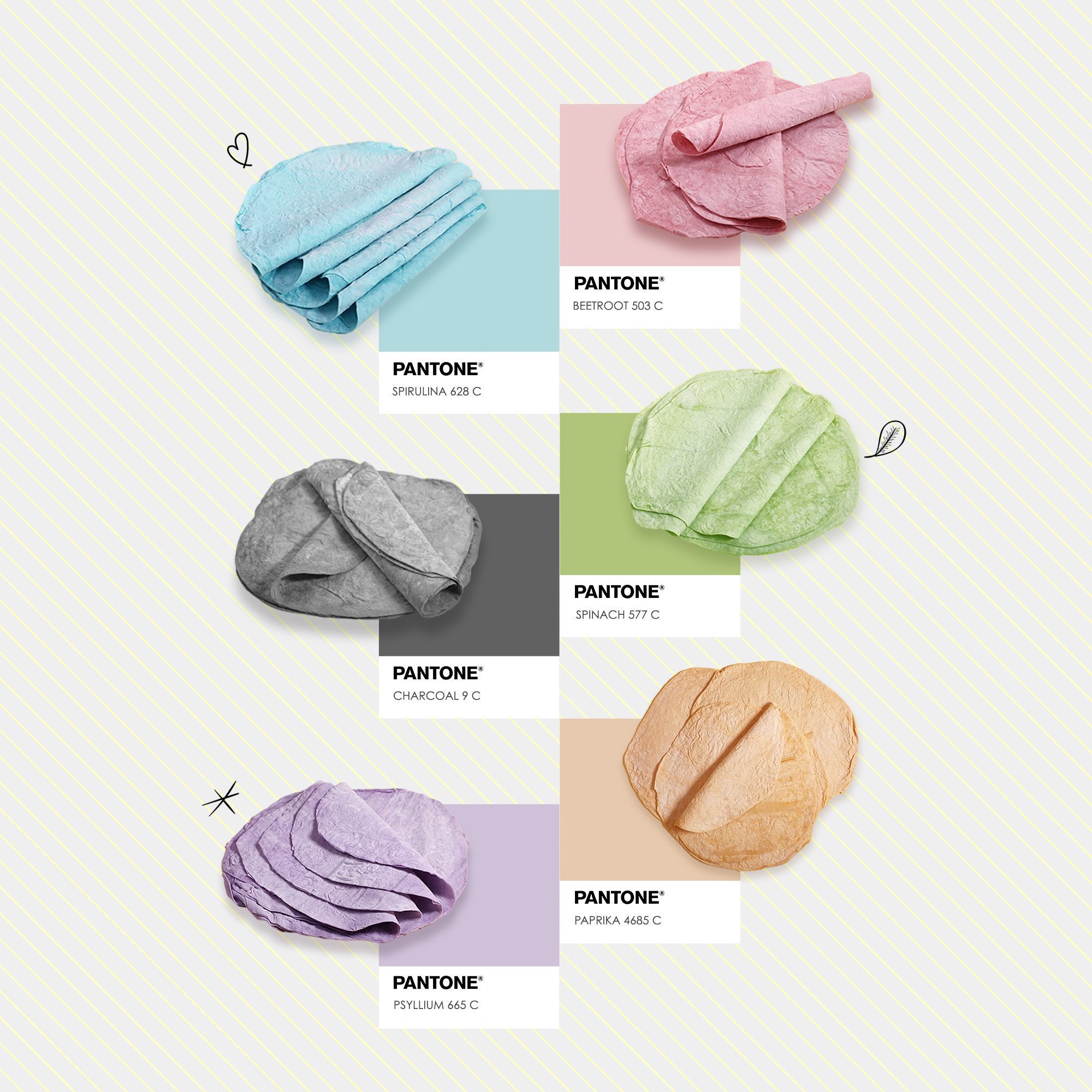 set of healthy and oraganic bread